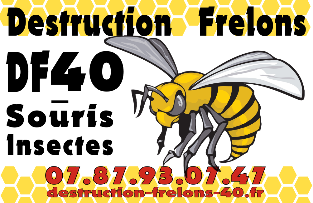carte-visite-destruction-frelons